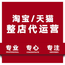淘宝托管报价 厂家